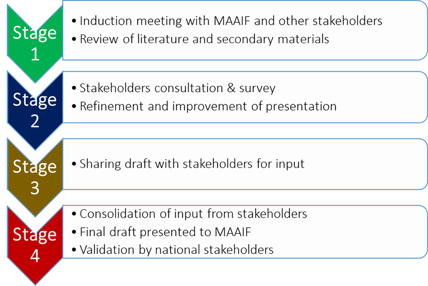 Process of development of the EVML